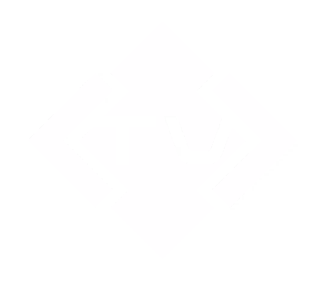 Technovibes Logo Oficial